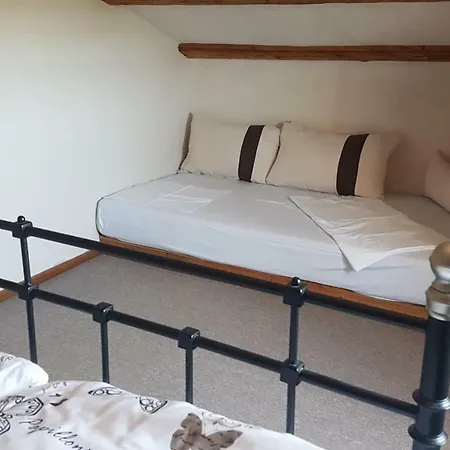 Olea * Малинска