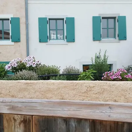 Olea Сasa de vacaciones